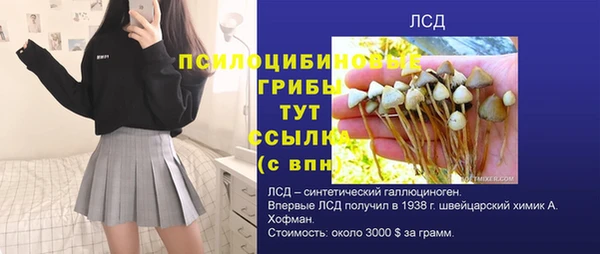 дурь Алексеевка