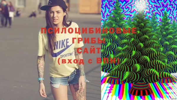 ГАЛЛЮЦИНОГЕННЫЕ ГРИБЫ Алзамай