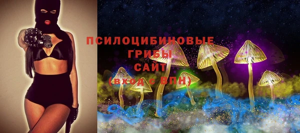 ГАЛЛЮЦИНОГЕННЫЕ ГРИБЫ Алзамай